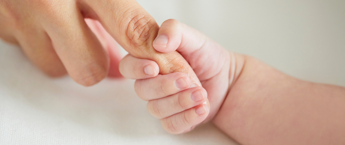 Ein besonderes Geschenk fürs Leben: Bäume schenken zur Geburt & Taufe