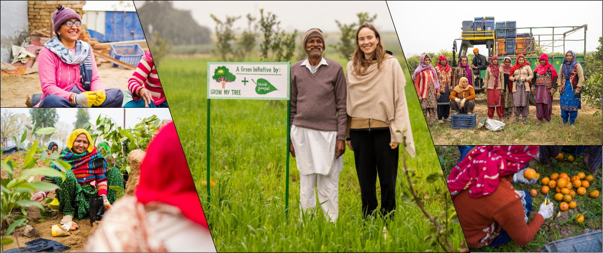 Besuch bei unserem Pflanzpartner in Indien: Eine Reise voller Wachstum, Hoffnung und Nachhaltigkeit