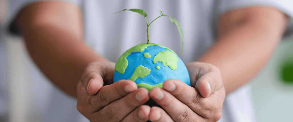 Wie Unternehmen Bäume pflanzen – ein umfassender Leitfaden