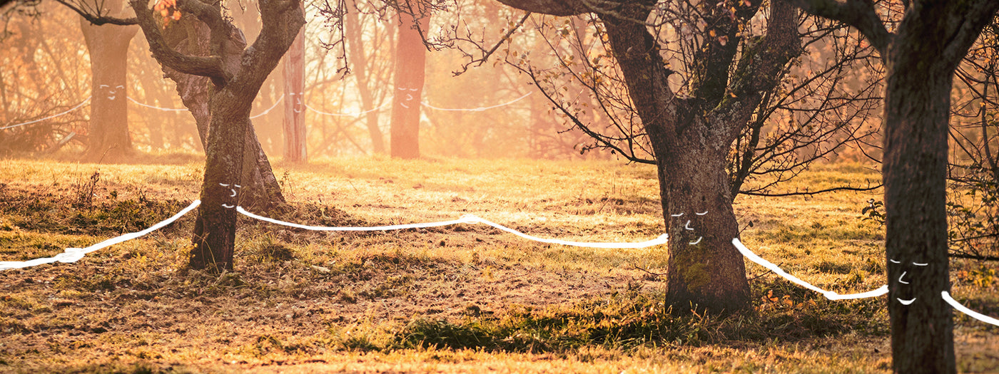 Dein Baumpatenkind – ein soziales Wunderwesen