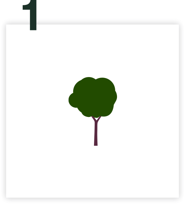1 Baum pflanzen - Tree Friend