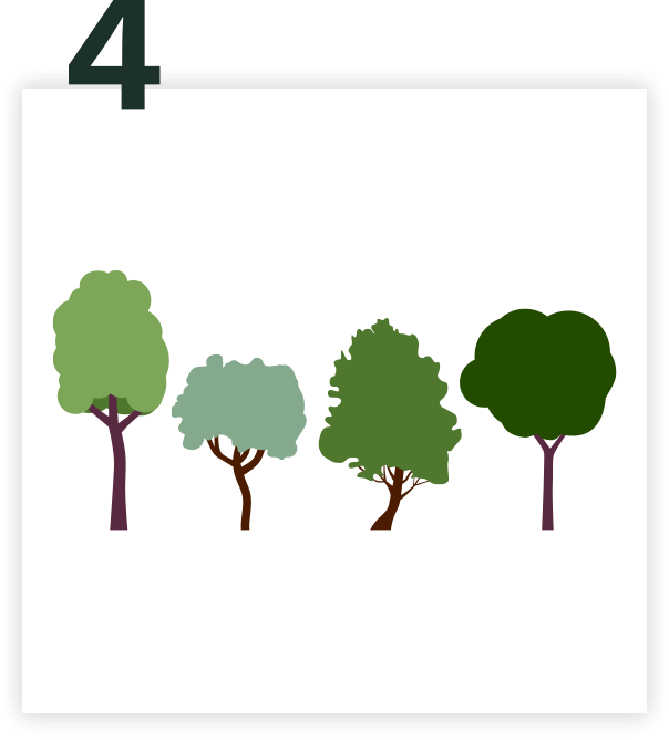4 Bäume pflanzen - Tree Lover