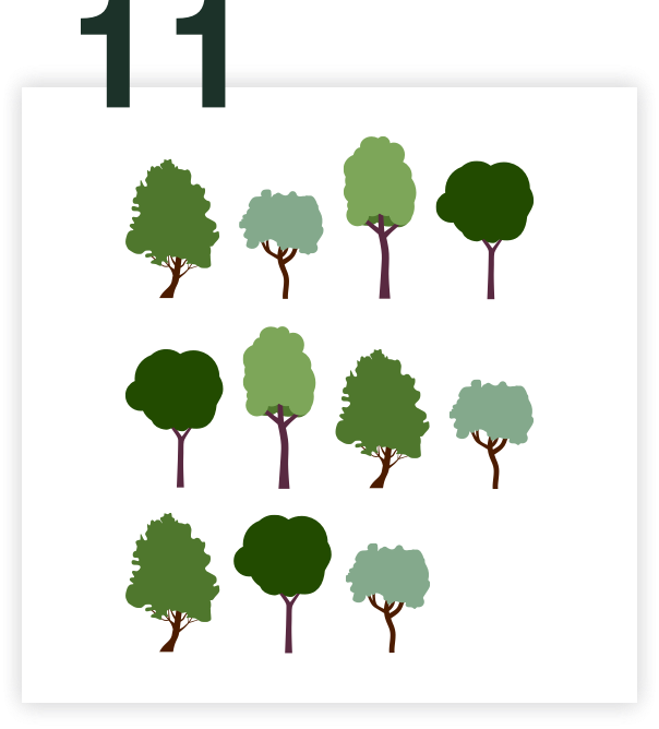 11 Bäume pflanzen - Climate supporters