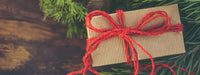Warum Bäume die perfekten Geschenke für Familie und Freund:innen in der Weihnachtszeit sind