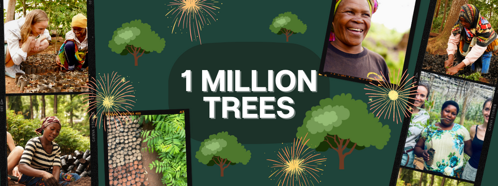 Wir sind Baum-'Millionäre' geworden! | Impact-Report 2022