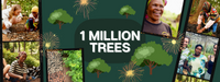 Wir sind Baum-'Millionäre' geworden! | Impact-Report 2022