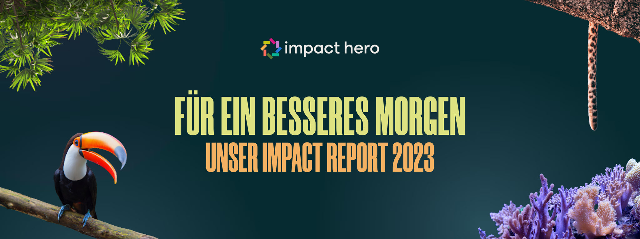 Für ein besseres Morgen – Unser Impact Report 2023