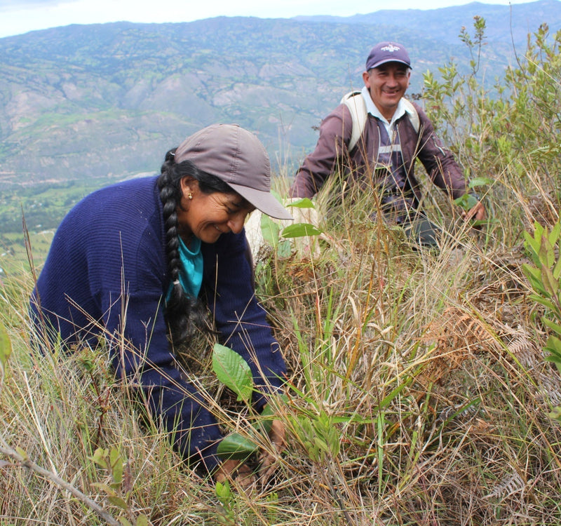 Peru