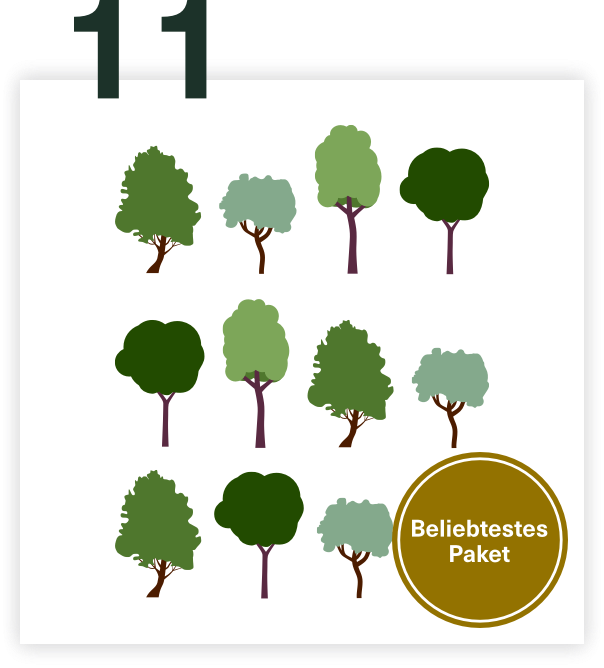 11 Bäume pflanzen - Climate supporters