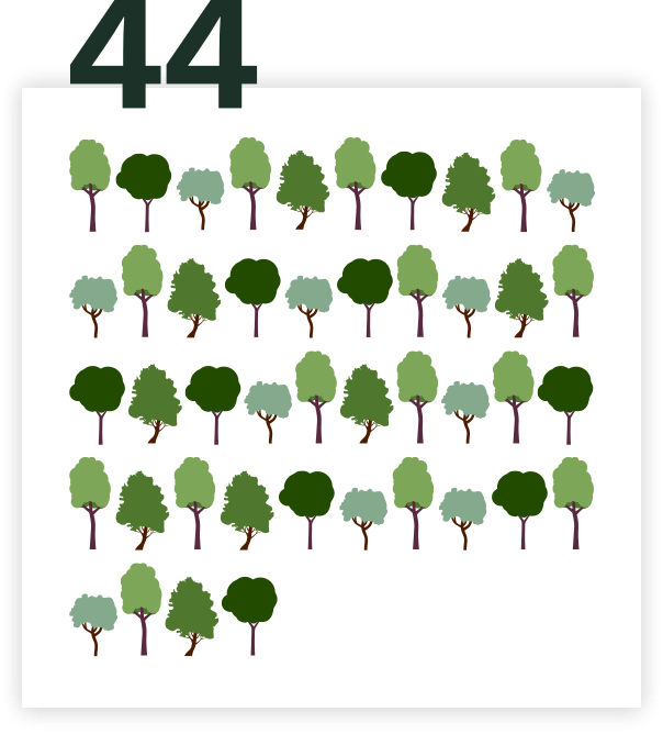 44 Bäume pflanzen - Small Forest