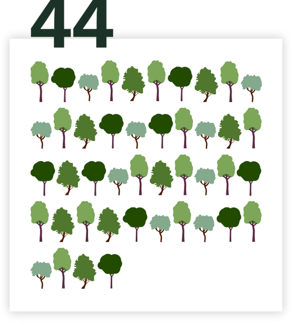 Plant 44 Trees - Small Forest - ImpactHero GmbH