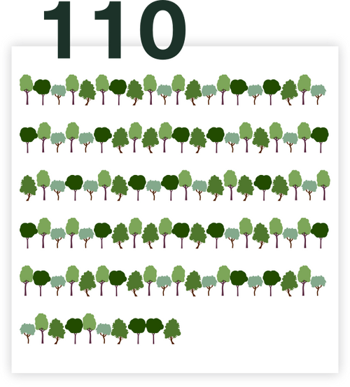 110 trees as a present - Full on Forest