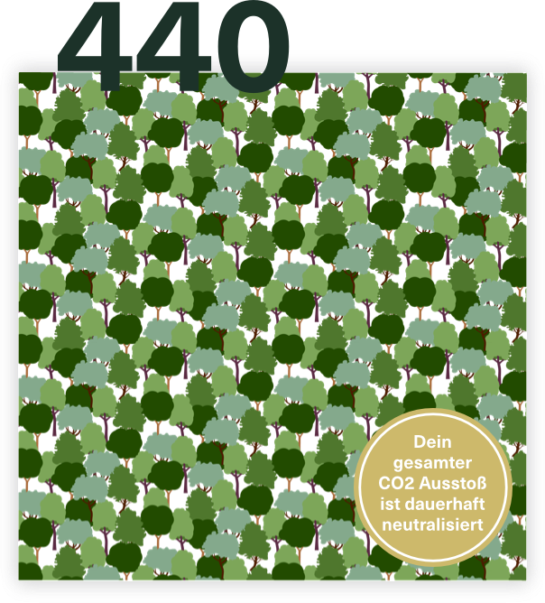 440 Bäume pflanzen - Climate Rockstar