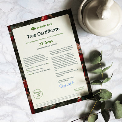 22 Trees Certificates